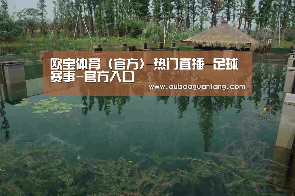 案例展示二