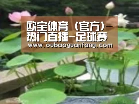 产品名称一