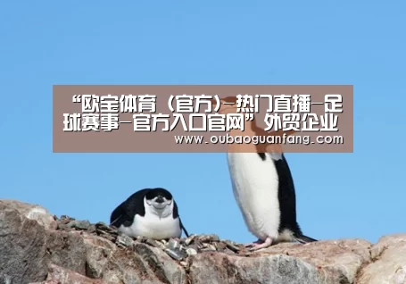“欧宝体育(官方)-热门直播-足球赛事-官方入口官网”外贸企业自身发展问题探讨(图1) 欧宝体育(官方)-热门直播-足球赛事-官方入口官网
