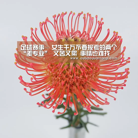 足球赛事-
女生千万不要报考的两个“差专业” 又苦又累 事情也难找